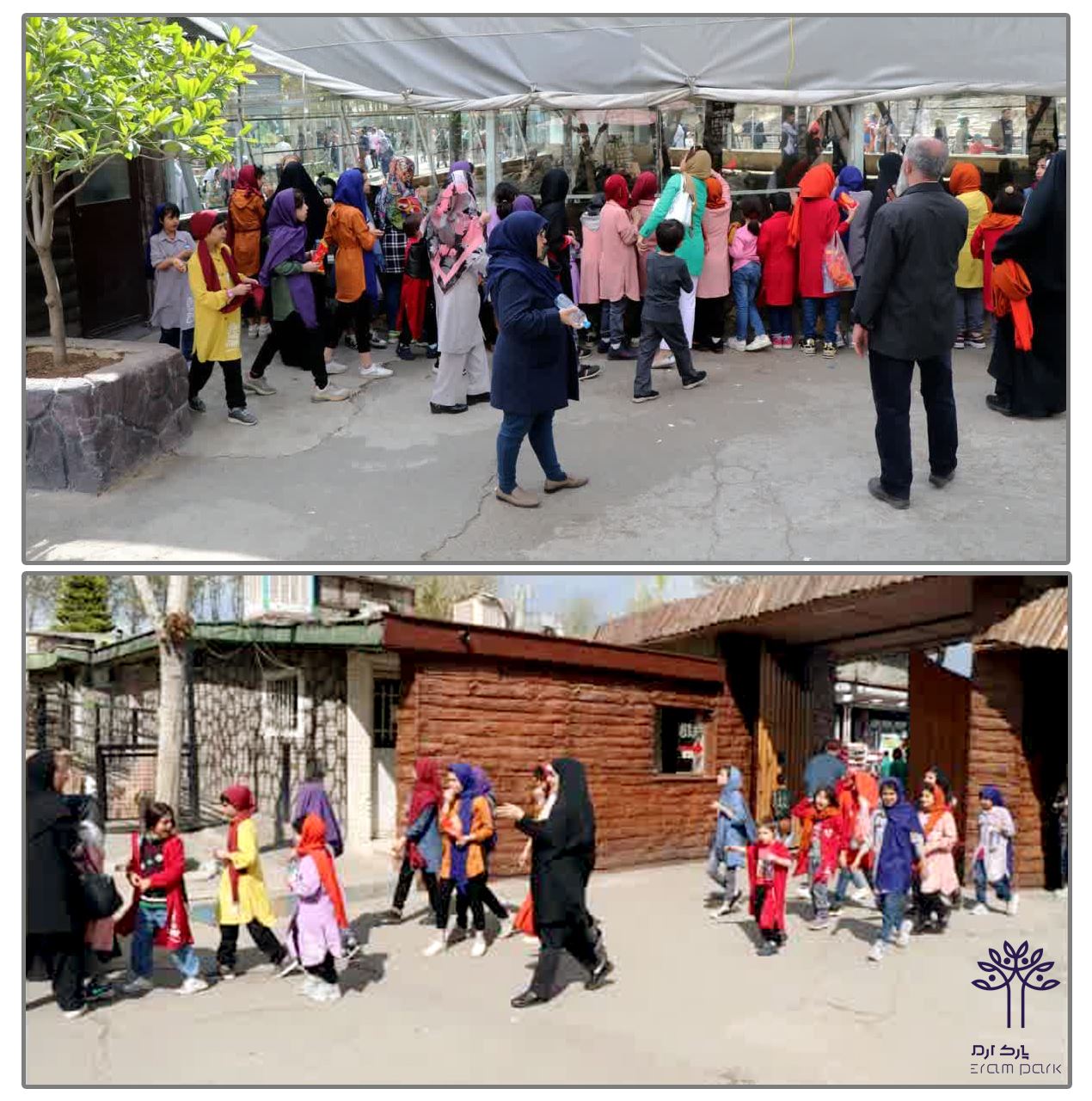 بازدید کودکان تحت پوشش بهزیستی موسسه  دختران آفتاب از باغ وحش ارم سبز