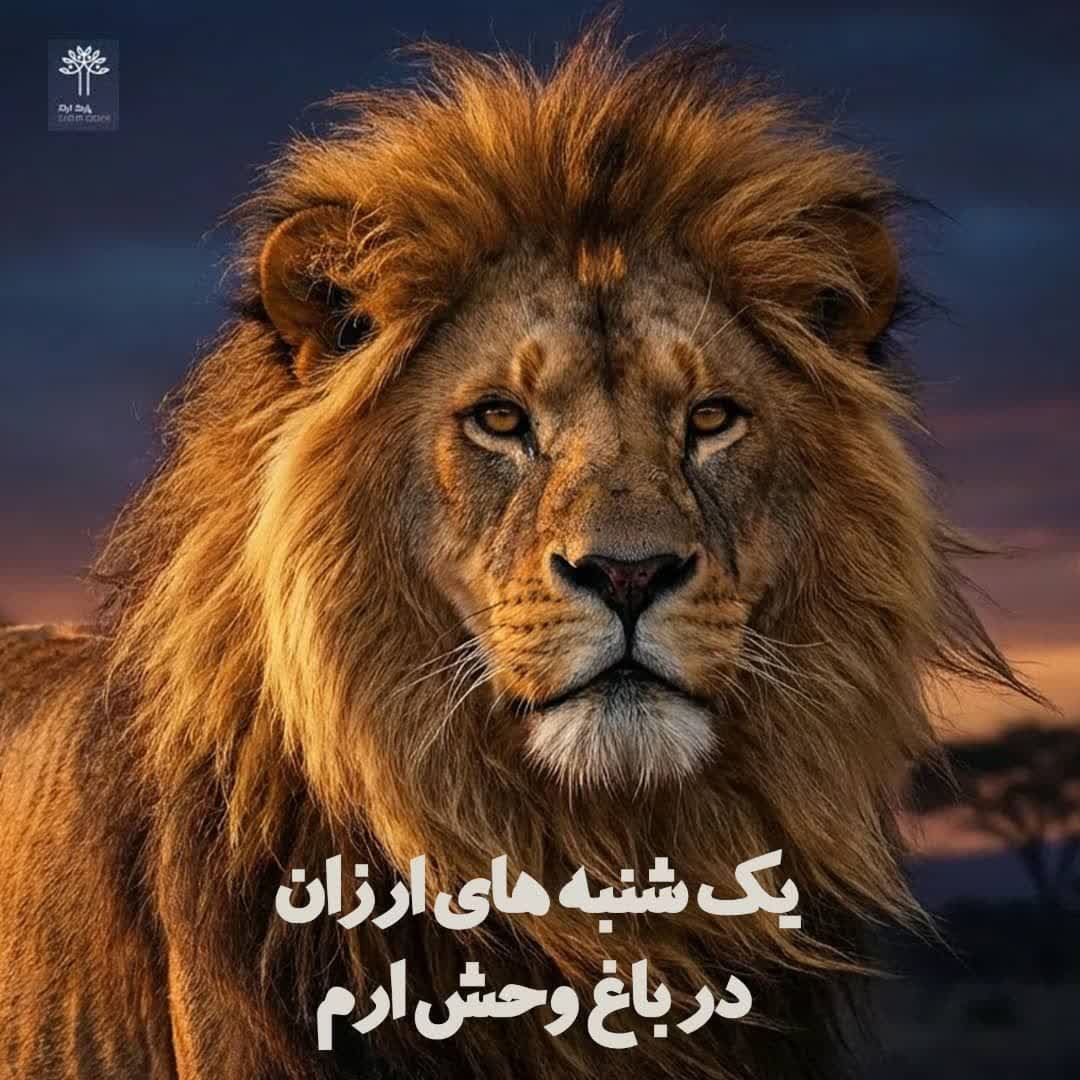 اجرای طرح ویژه نیم‌بها در باغ‌وحش ارم سبز