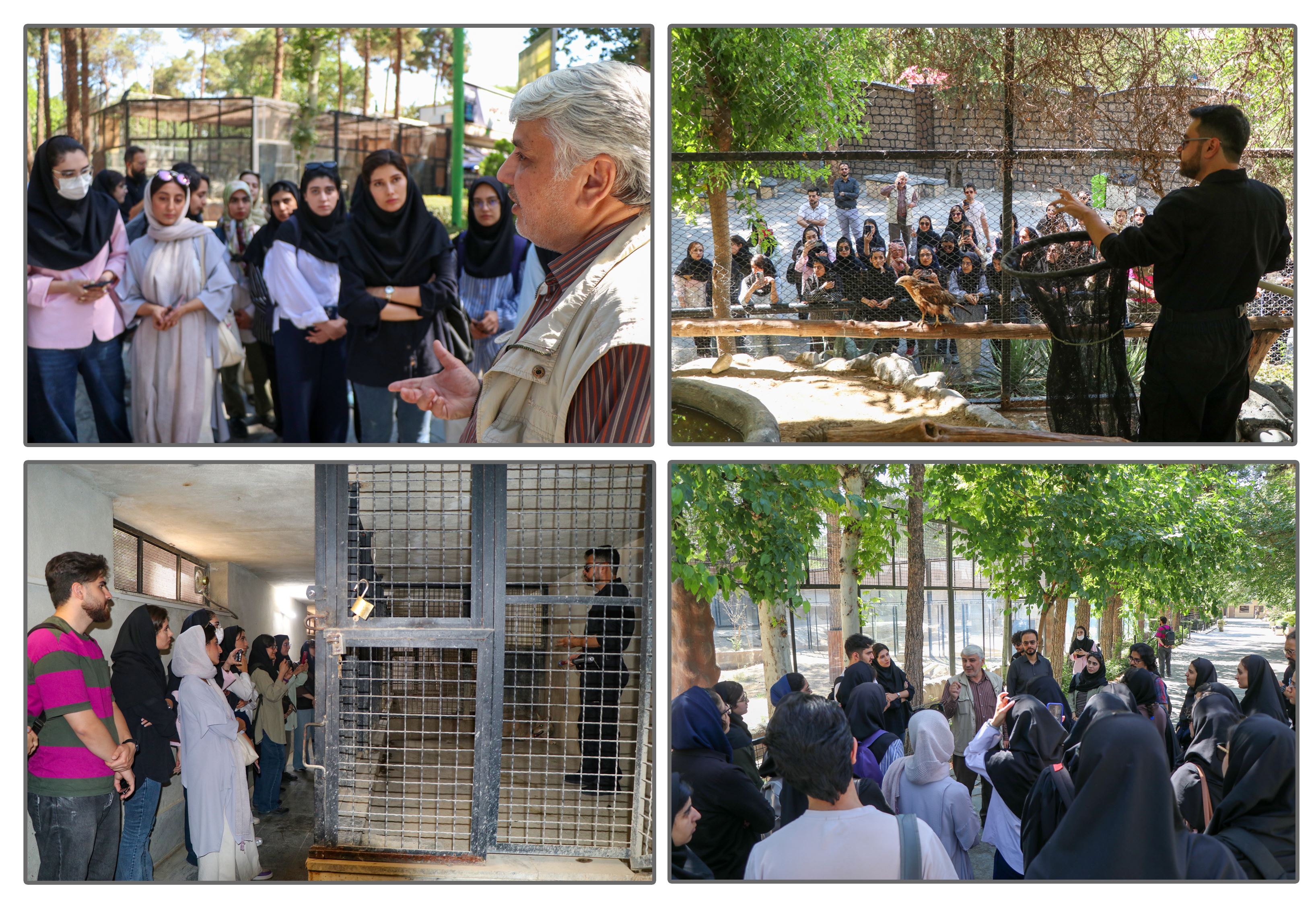 چالش هیجان‌انگیز دانشجویان دامپزشکی در دل باغ‌وحش ارم!